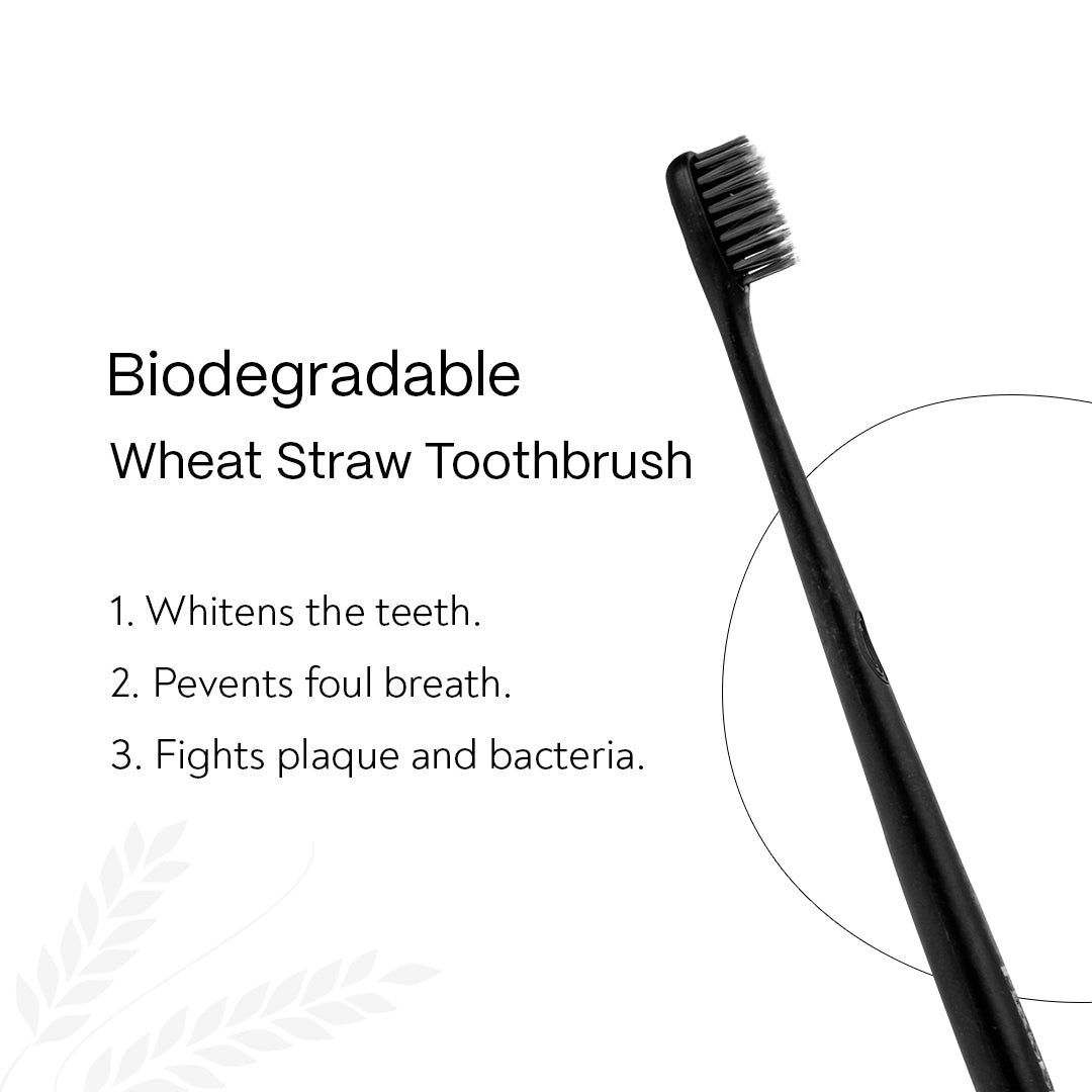 Wheat-straw Toothbrush  - Pack of 4
