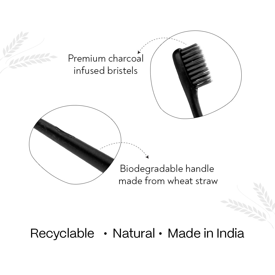 Wheat-straw Toothbrush  - Pack of 4