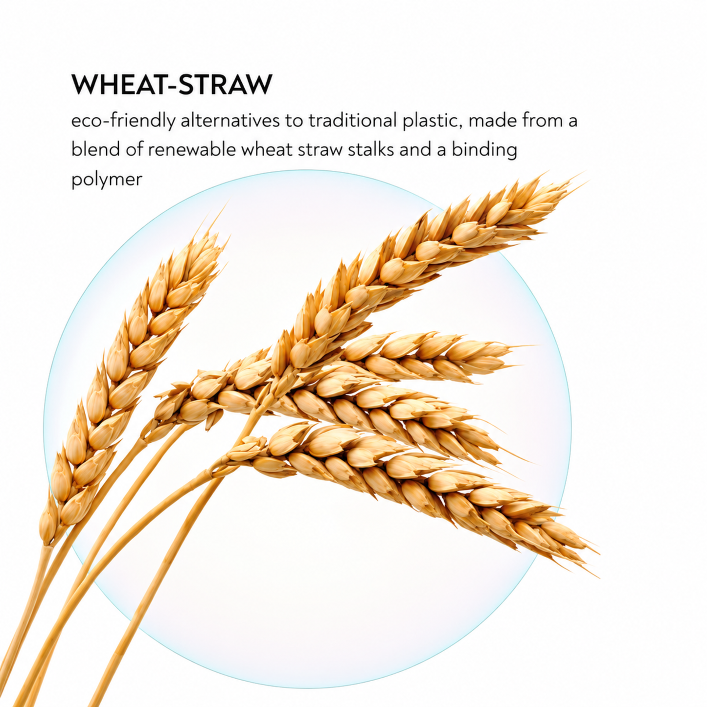 Wheat-straw Toothbrush