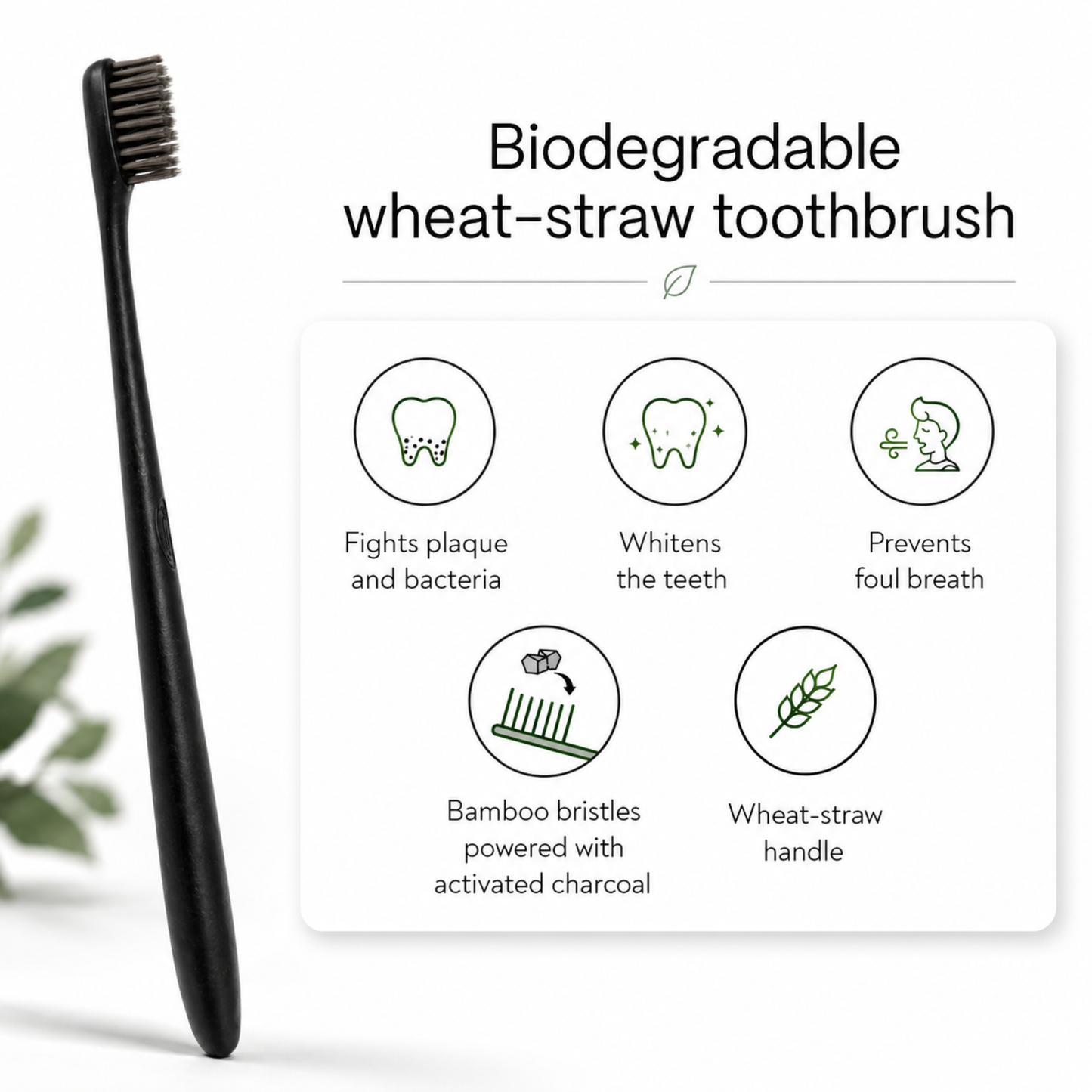 Wheat-straw Toothbrush
