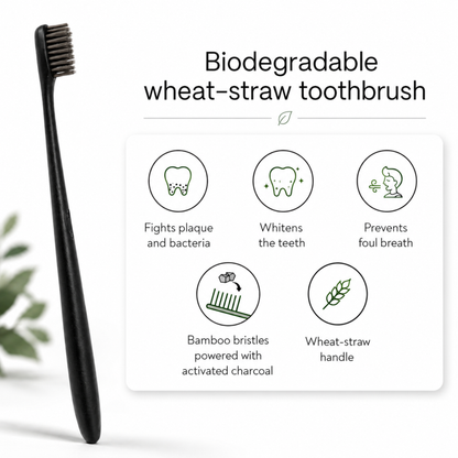 Wheat-straw Toothbrush