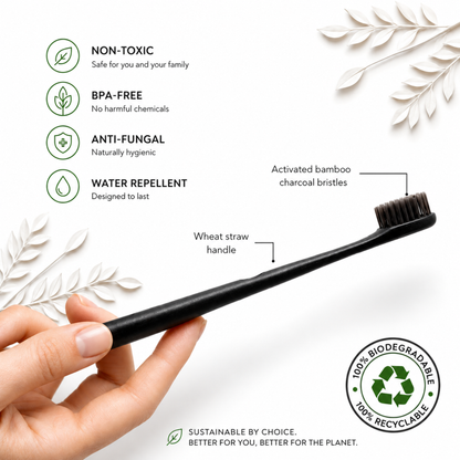 Wheat-straw Toothbrush