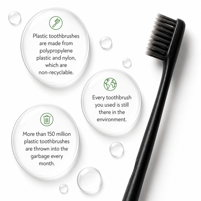 Wheat-straw Toothbrush