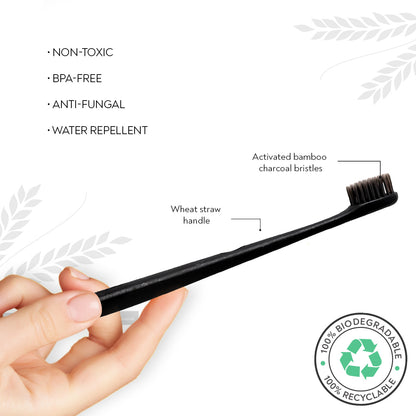 BRUSH & SLAY BUNDLE